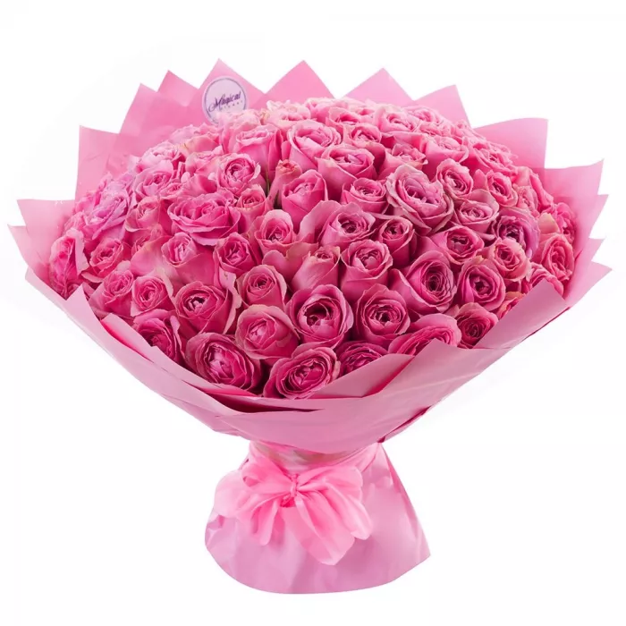 101 розовая роза