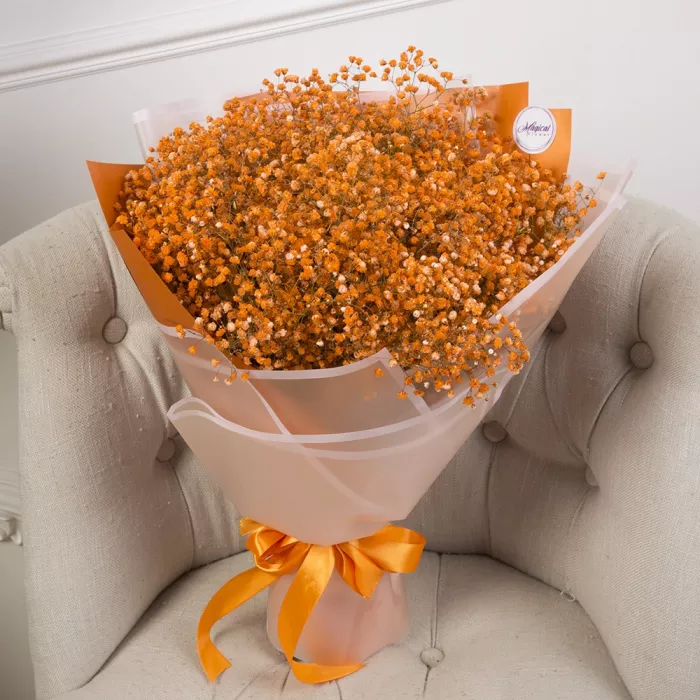Букет из 15 оранжевых гипсофил