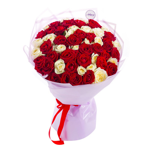 51 красная и белая роза premium 60 см