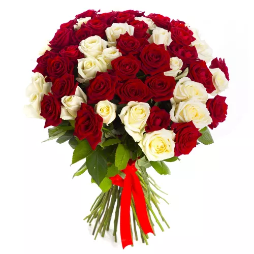 Монобукет из 51 красной и белой розы 50 см