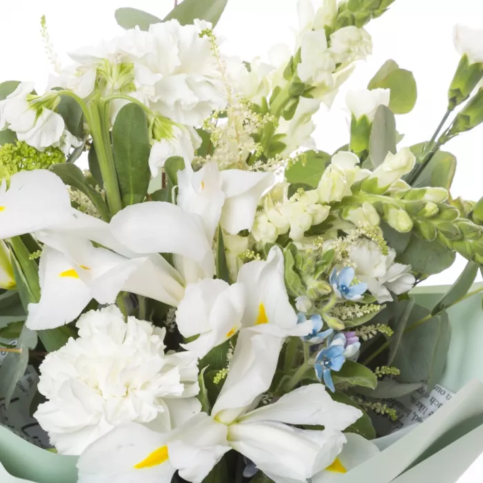 Букет с гвоздиками и ирисом