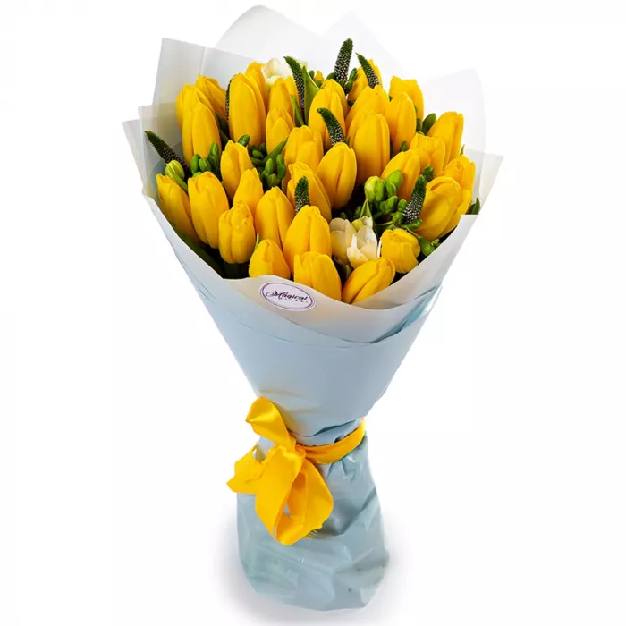 35 желтых тюльпанов с фрезией