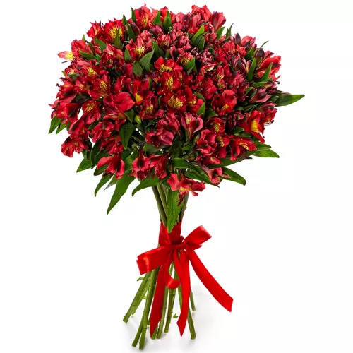 Букет цветов из 21 красной альстромерии