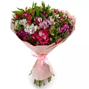 35 разноцветных альстромерий