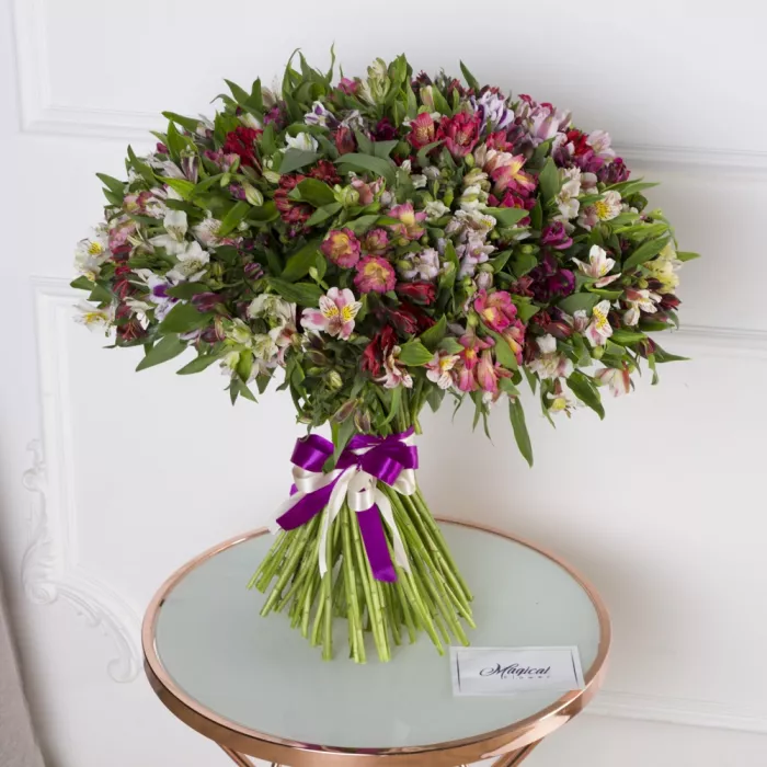 101 разноцветная альстромерия