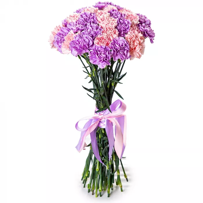 27 разноцветных гвоздик