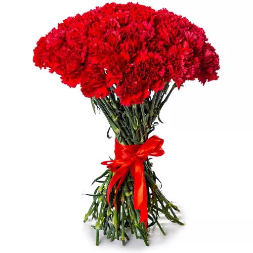 51 красная гвоздика 51 красная гвоздика