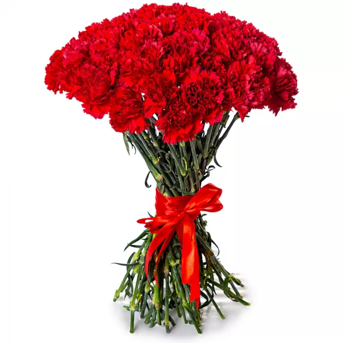51 красная гвоздика 51 красная гвоздика