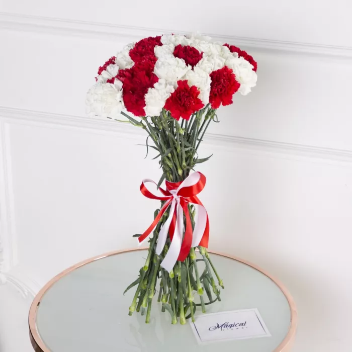 27 красно-белых гвоздик