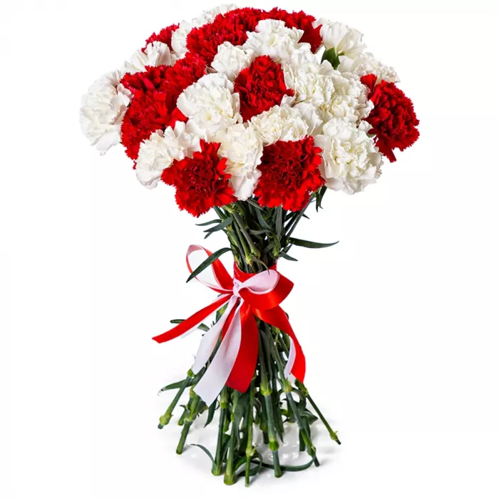 27 красно-белых гвоздик