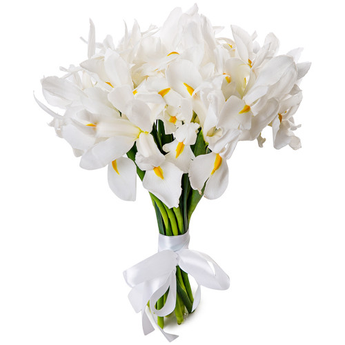 Букет цветов из 15 белых ирисов