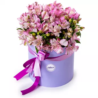 15 альстромерий в шляпной коробке