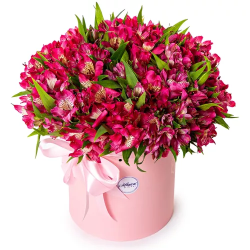 35 альстромерий в шляпной коробке