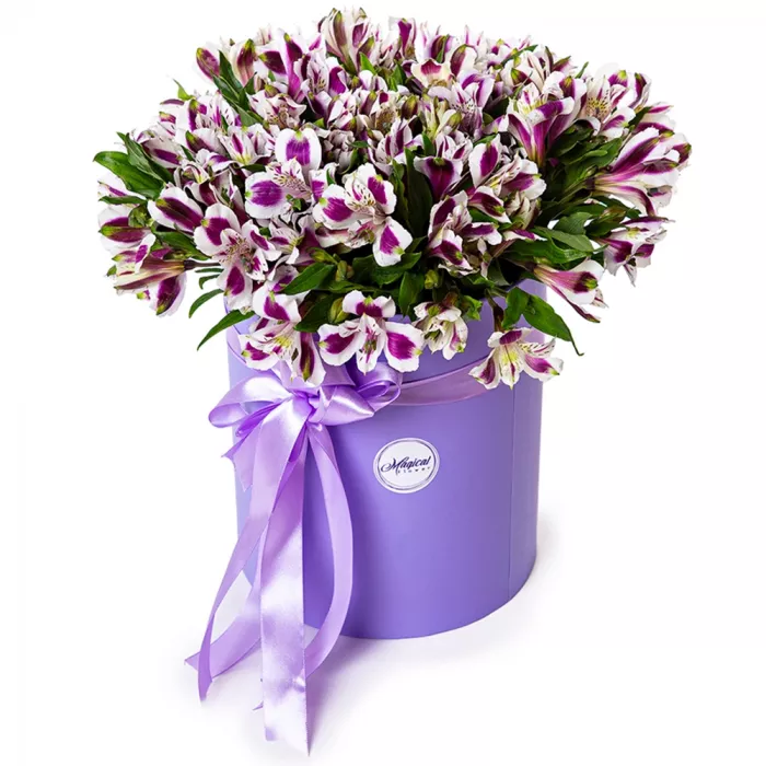 21 альстромерия в шляпной коробке