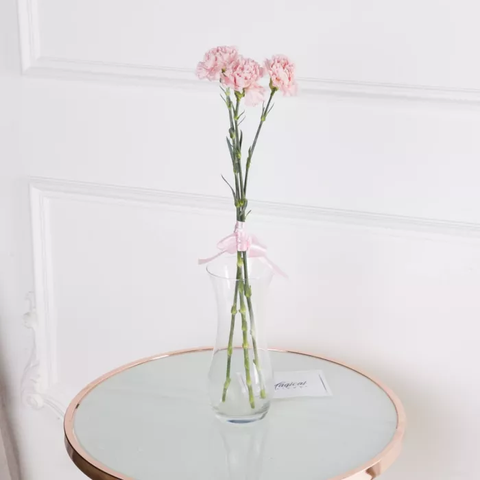 3 розовых гвоздики