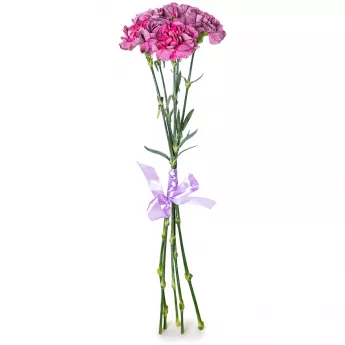 5 фиолетовых гвоздик