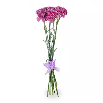 7 фиолетовых гвоздик