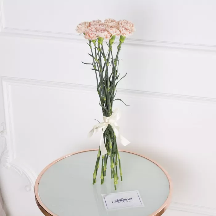 11 кремовых гвоздик