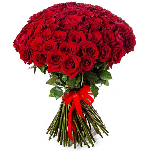101 красная роза Эквадор 70 см