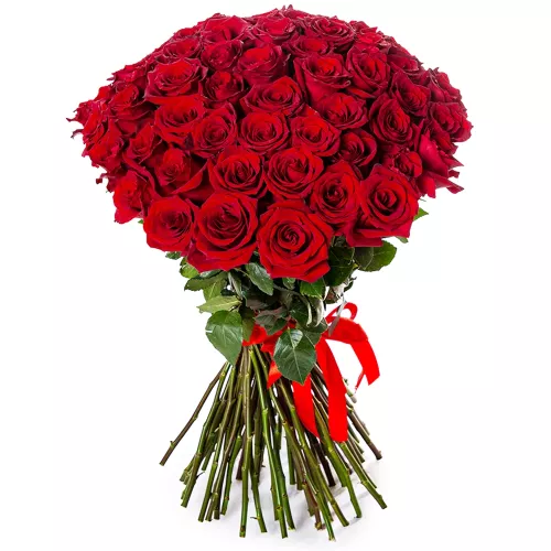 75 красных роз Эквадор 70 см