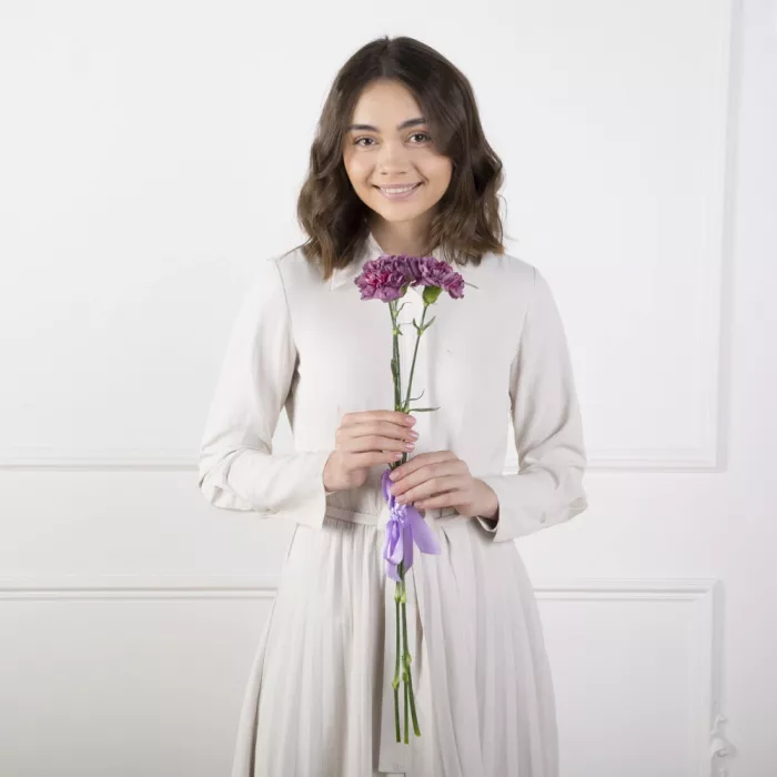 3 фиолетовые гвоздики