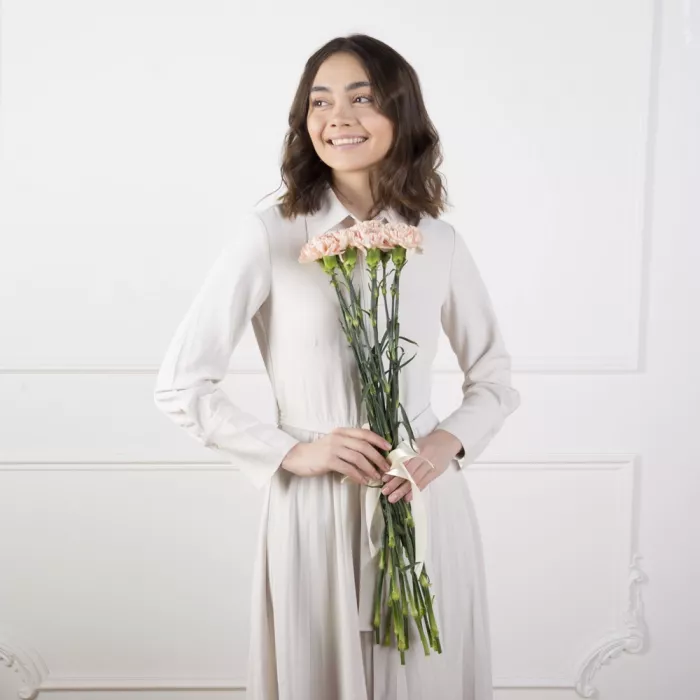 11 кремовых гвоздик