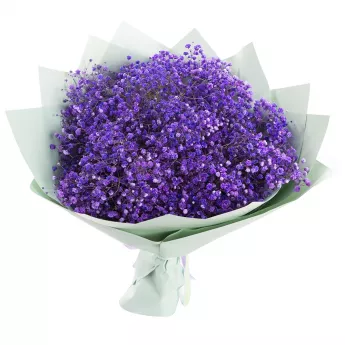 Букет из 15 сиреневых гипсофил