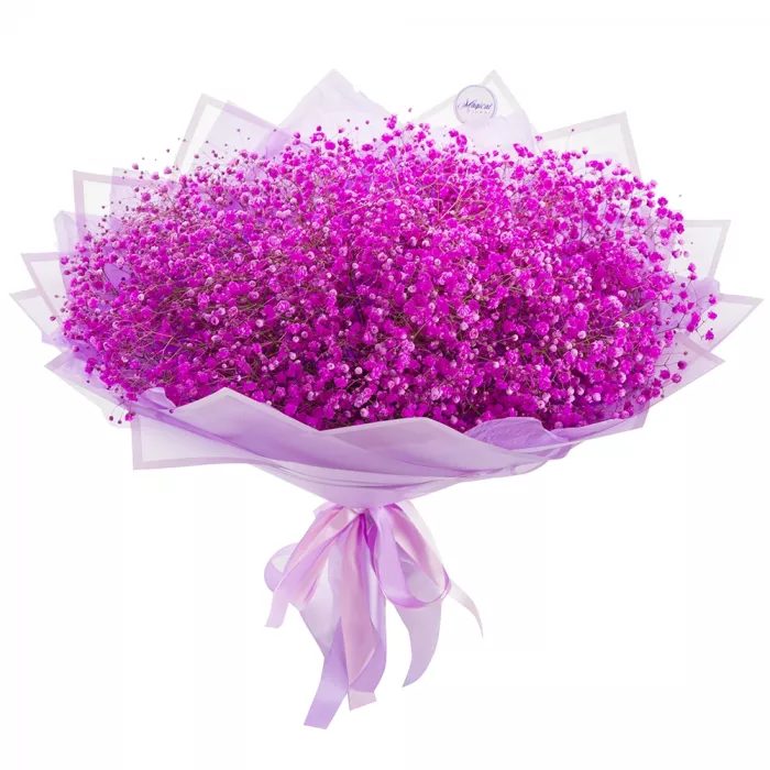 15 розовых гипсофил 15 розовых гипсофил