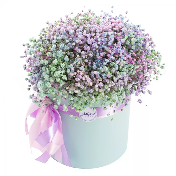 11 разноцветных гипсофил в шляпной коробке