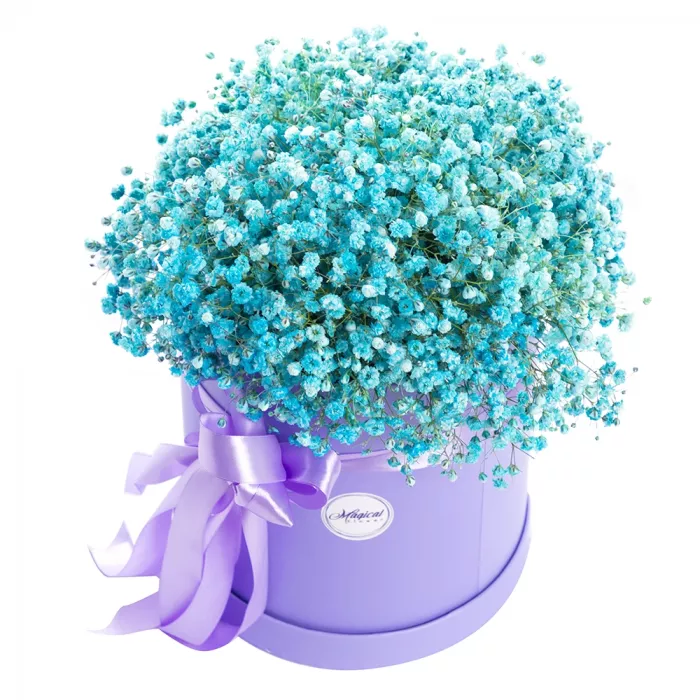 11 бирюзовых гипсофил в шляпной коробке