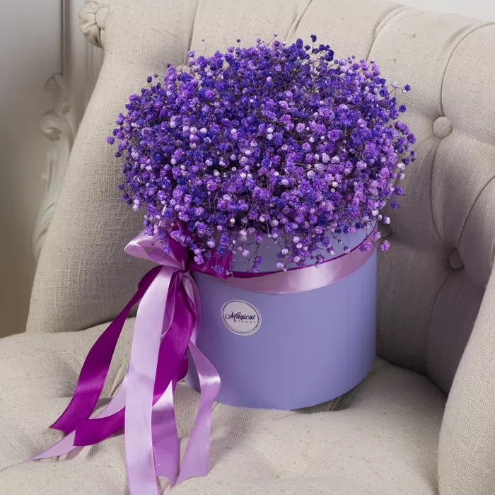 Букет из 11 сиреневых гипсофил в шляпной коробке