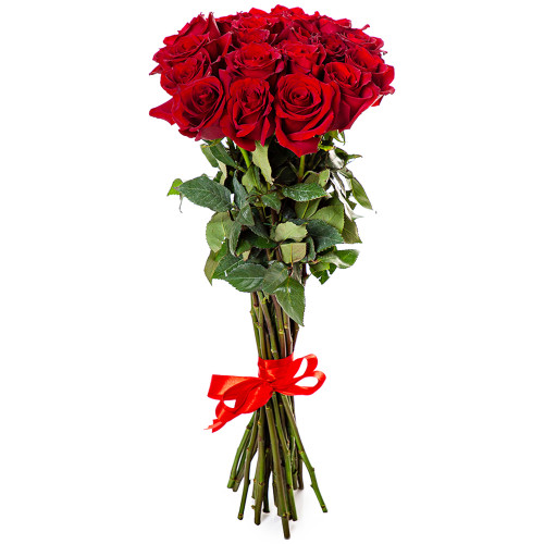 19 красных роз Эквадор 70 см