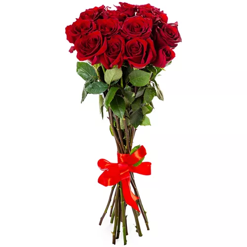 Цветы для коллеги из 15 роз Эквадор 70 см