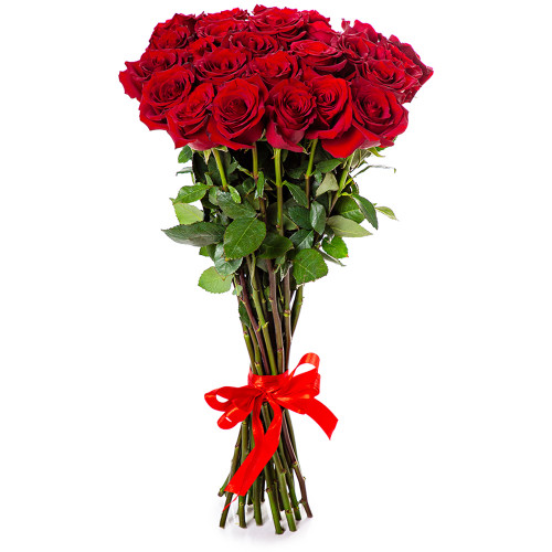 25 красных роз Эквадор 70 см