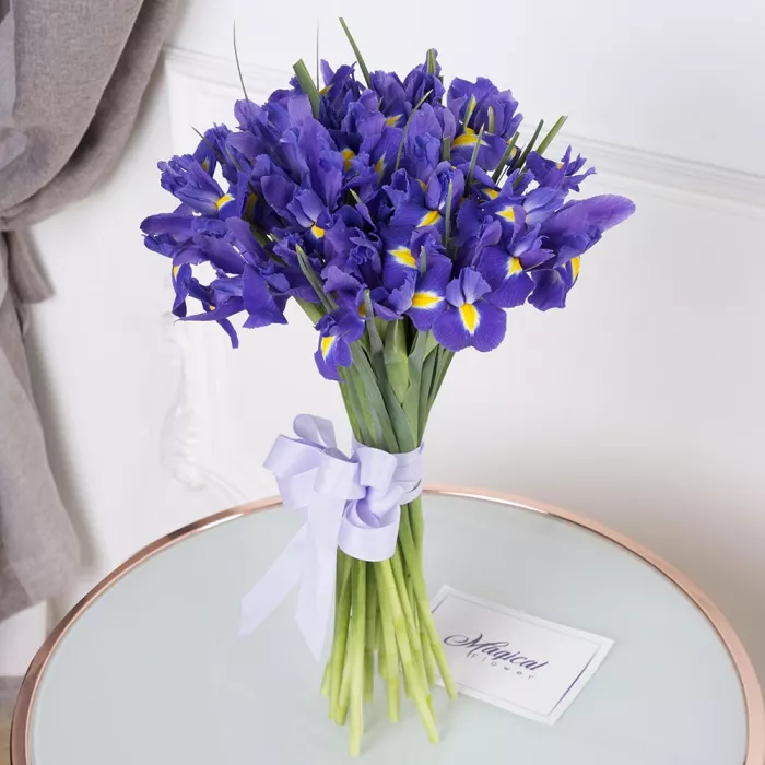 Букет из синего ириса 25 шт Букет из синего ириса 25 шт