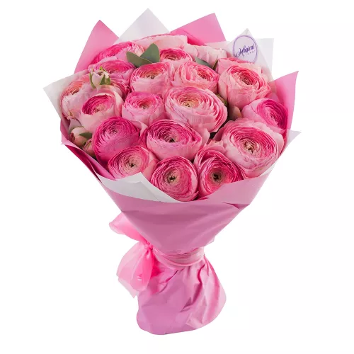 Букет 21 розового ранункулюса