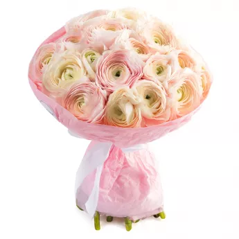 Букет из 21 бело-розового ранункулюса