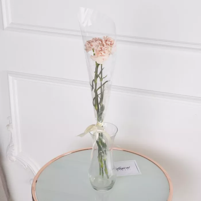 3 кремовые гвоздики