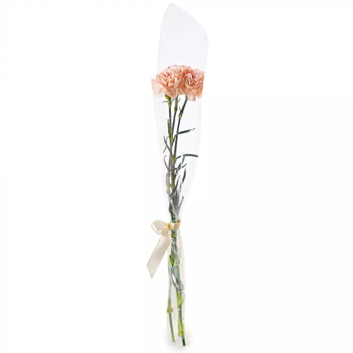 3 кремовые гвоздики 3 кремовые гвоздики