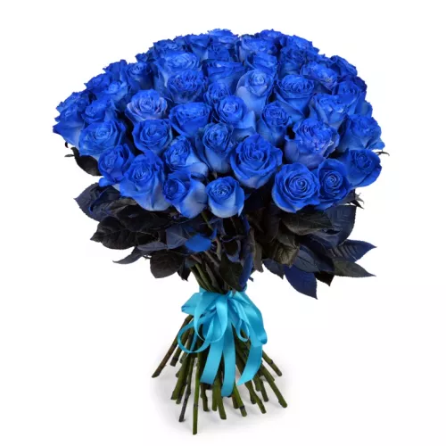 Букет из 51 синяя роза Эквадор (Premium 60см)