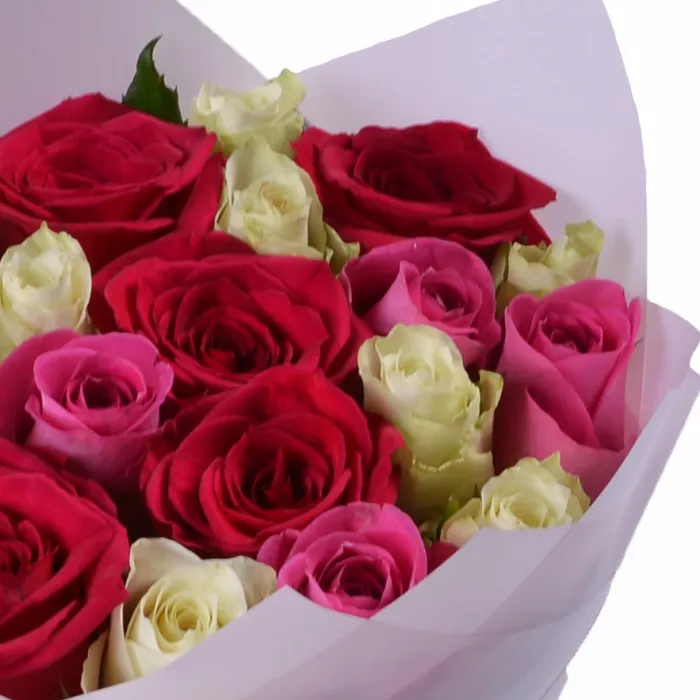 19 разноцветных роз