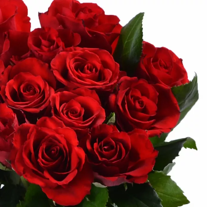 15 красных роз