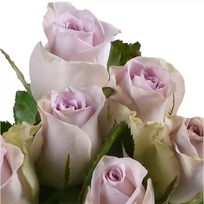 Букет из 7 сиреневых роз 40 см