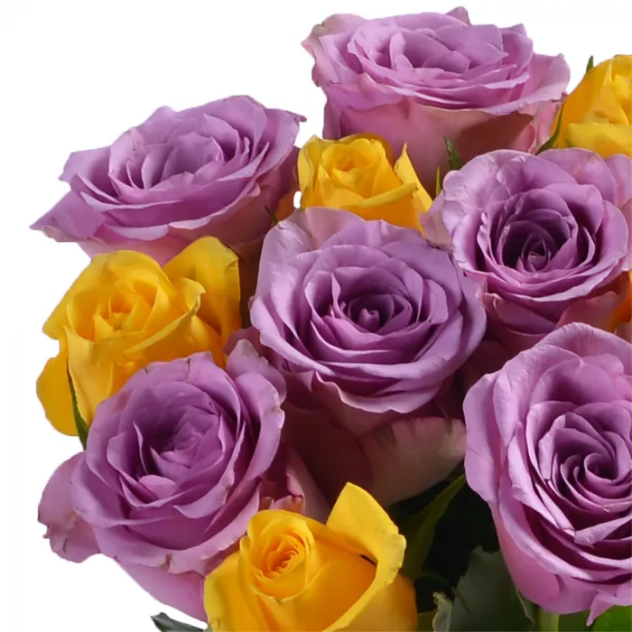 Букет из 11 сиреневых и желтых роз