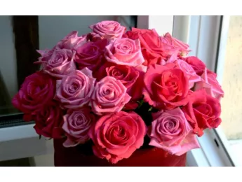 Как оживить розы в вазе