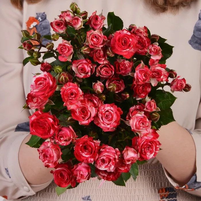 Букет из 5 малиновых кустовых роз