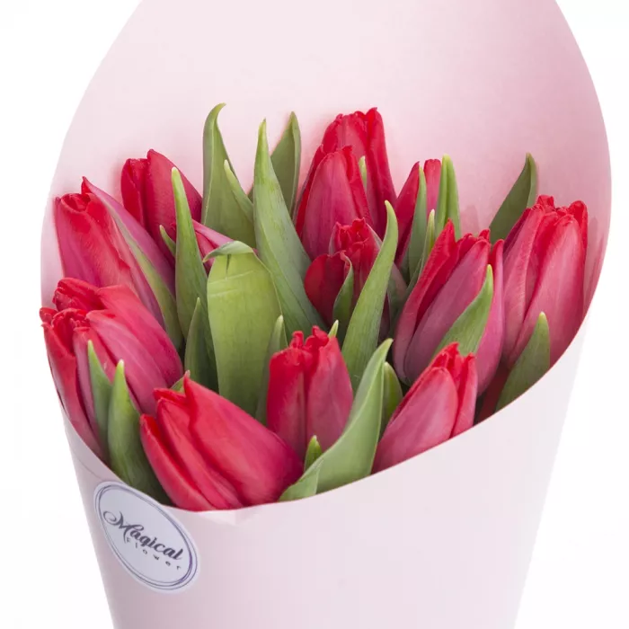 15 красных тюльпанов в крафте