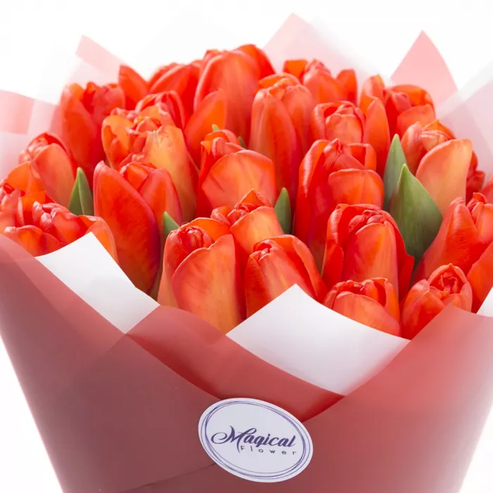 25 оранжевых тюльпанов 25 оранжевых тюльпанов