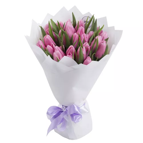 25 розовых красивых тюльпанов