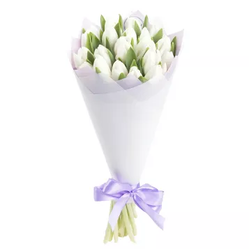 19 белых тюльпанов